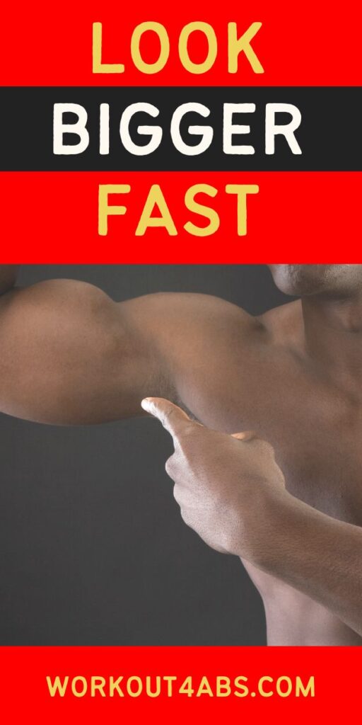 Workout Plan to Build Muscle | Lose Fat and Gain Muscle
