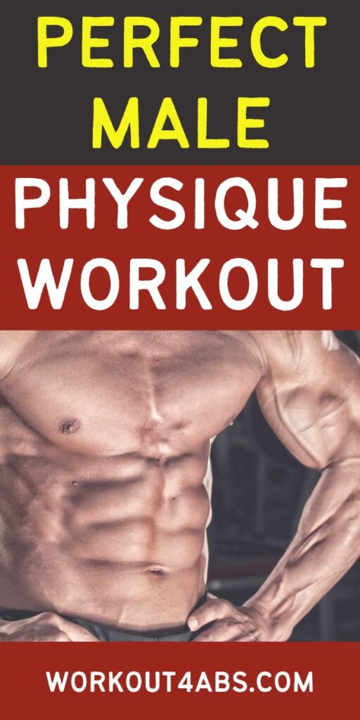 Perfect Male Physique Workout