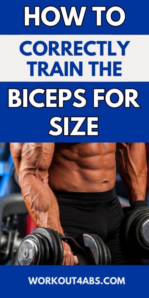 How to Correctly Train the Biceps for Size
