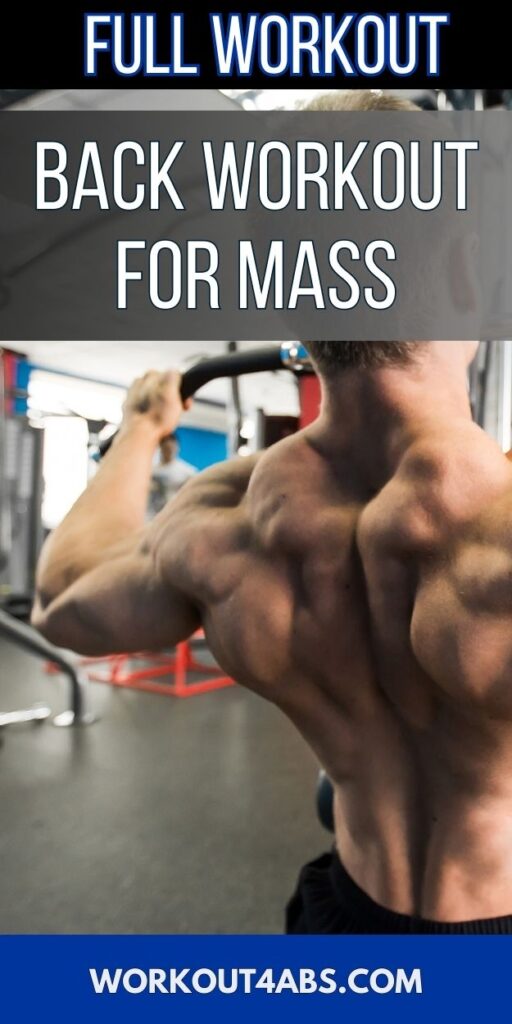Full Workout Back Workout for Mass