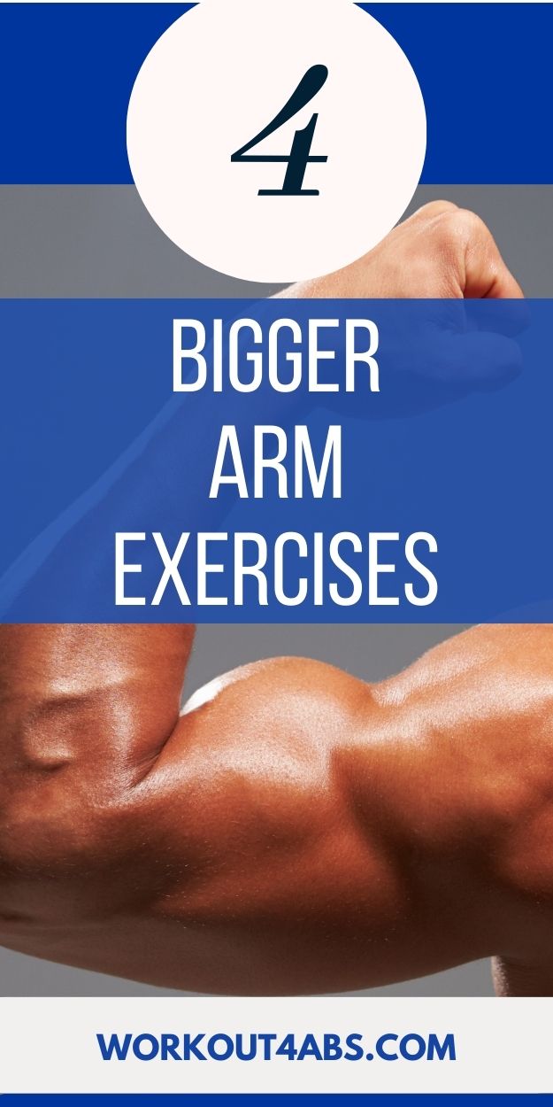 Dumbbell Arm Workout Workout4Abs