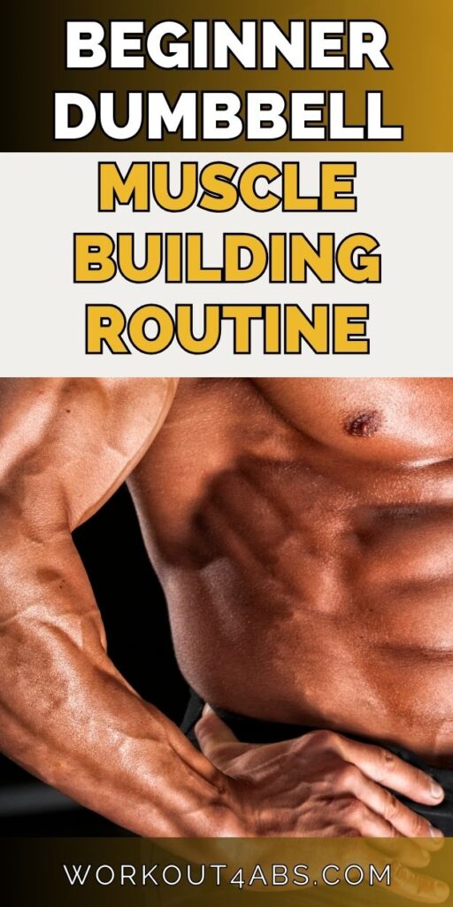 Beginner Dumbbell Muscle Building Routine