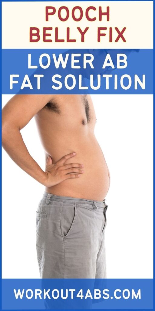 Pooch Belly Fix Lower Ab Fat Solution