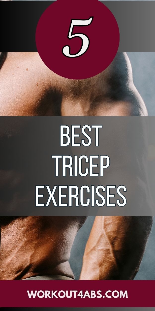 Tricep Strength Workout - Workout for Abs Training Videos and Information